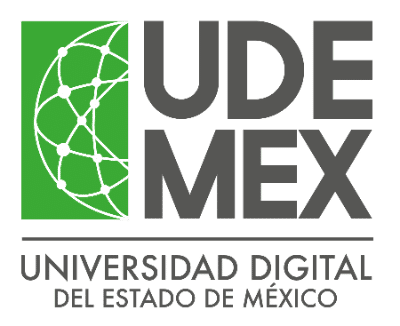 Logo UDEMEX
