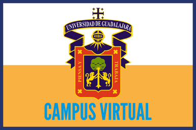 campus virtual udg