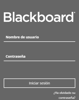 Acceso blackboard CNCI