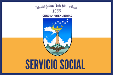 servicio social uabjo