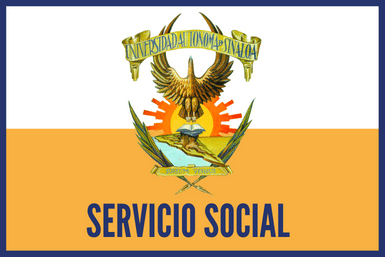 Servicio social UAS