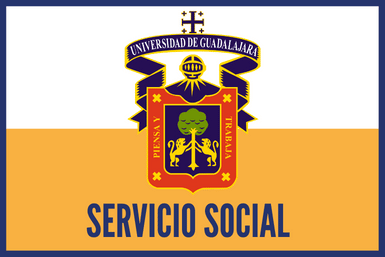 Servicio social UDG