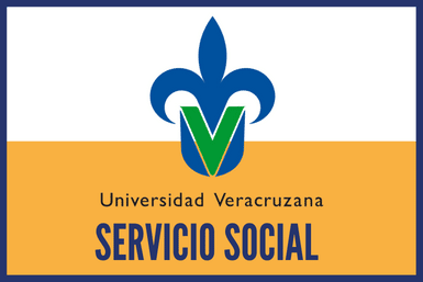 Servicio Social UV