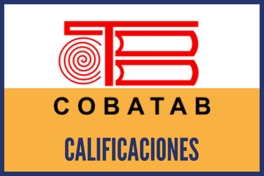 calificaciones cobatab