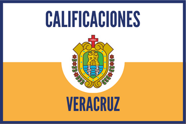 Calificaciones Veracruz